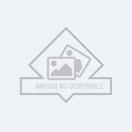 curso-2019-2020