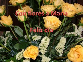 curso-2021-2022