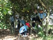 Novedades curso 2017/2018