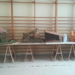 Nacimiento AMPA ampa